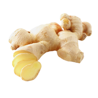 Ginger